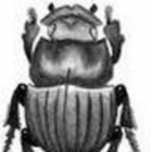 Meet your Posher, Steve